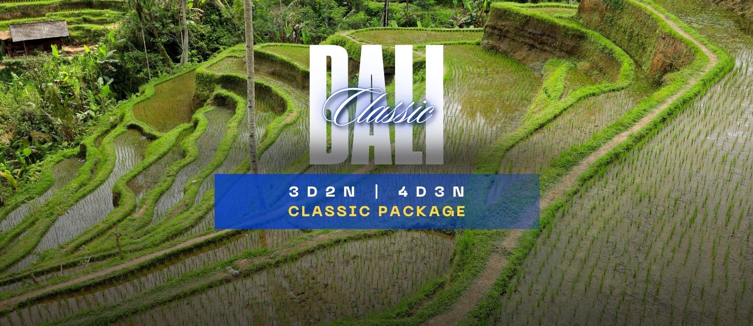 3D2N Classic Bali